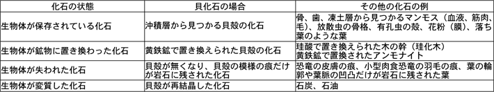 図：生物の体の化石の例