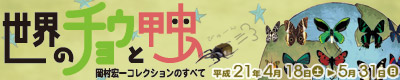 第38回特別展「世界のチョウと甲虫」〜岡村宏一コレクションのすべて〜