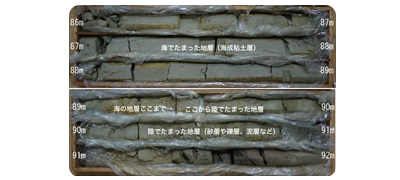 大阪市内で採取された活断層調査のボーリングコア
