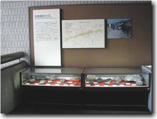 国産化石　和泉層群　タワカネワリ　２６０７１３－４８ izumi.jpg