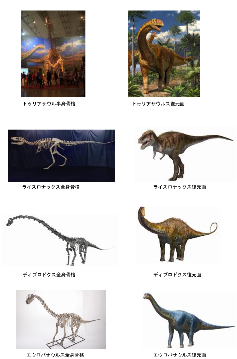 メガ恐竜展プレスリリース_主な展示_1.jpg