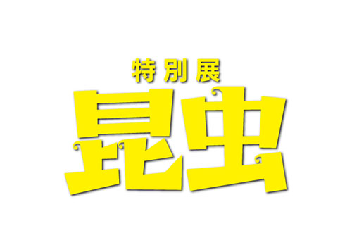 konchu_logo.jpg