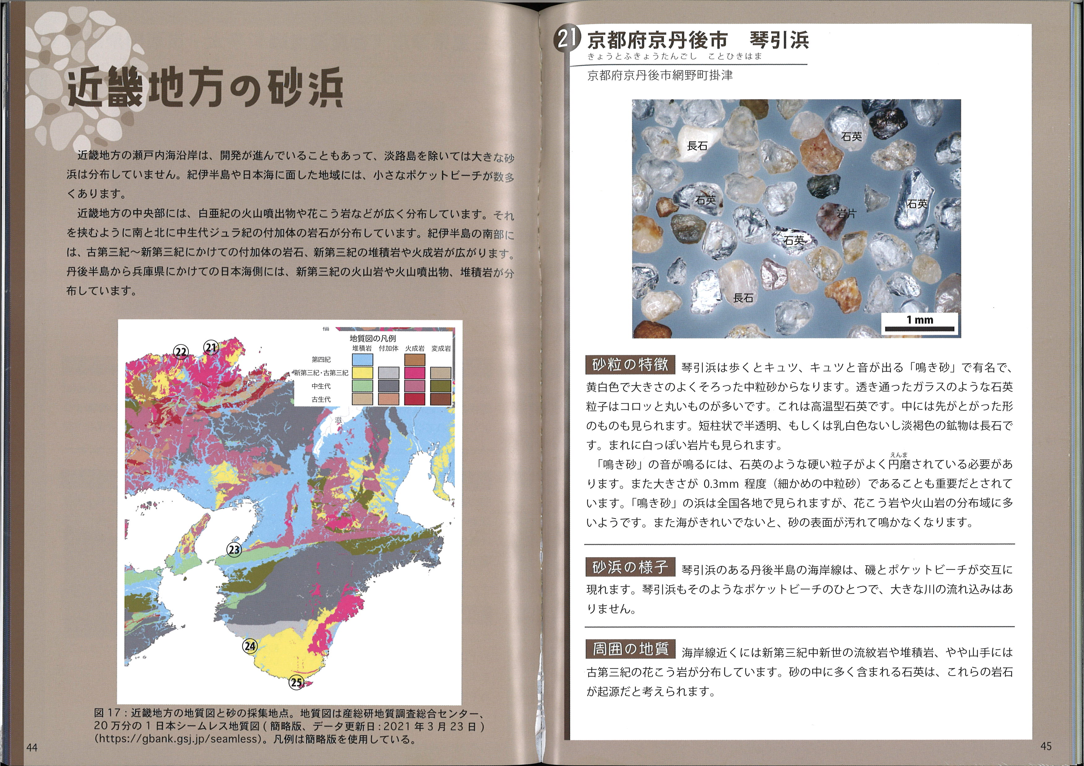 ミニガイド No.34「砂浜の砂をのぞいてみたら」を刊行しました | OMNH