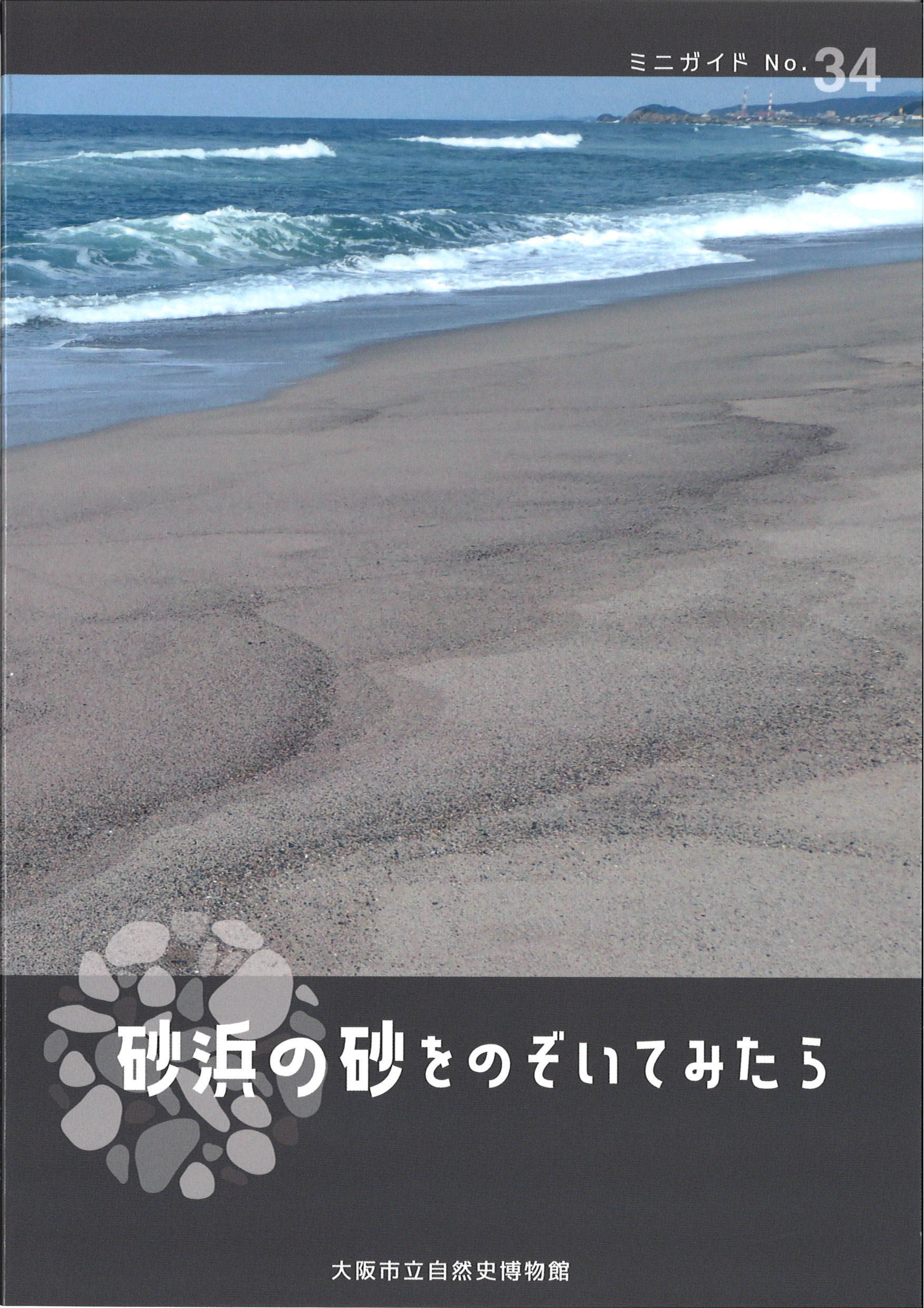 砂浜の櫂 ミニガイド No.34「砂浜の砂をのぞいてみたら」を刊行しました | OMNH