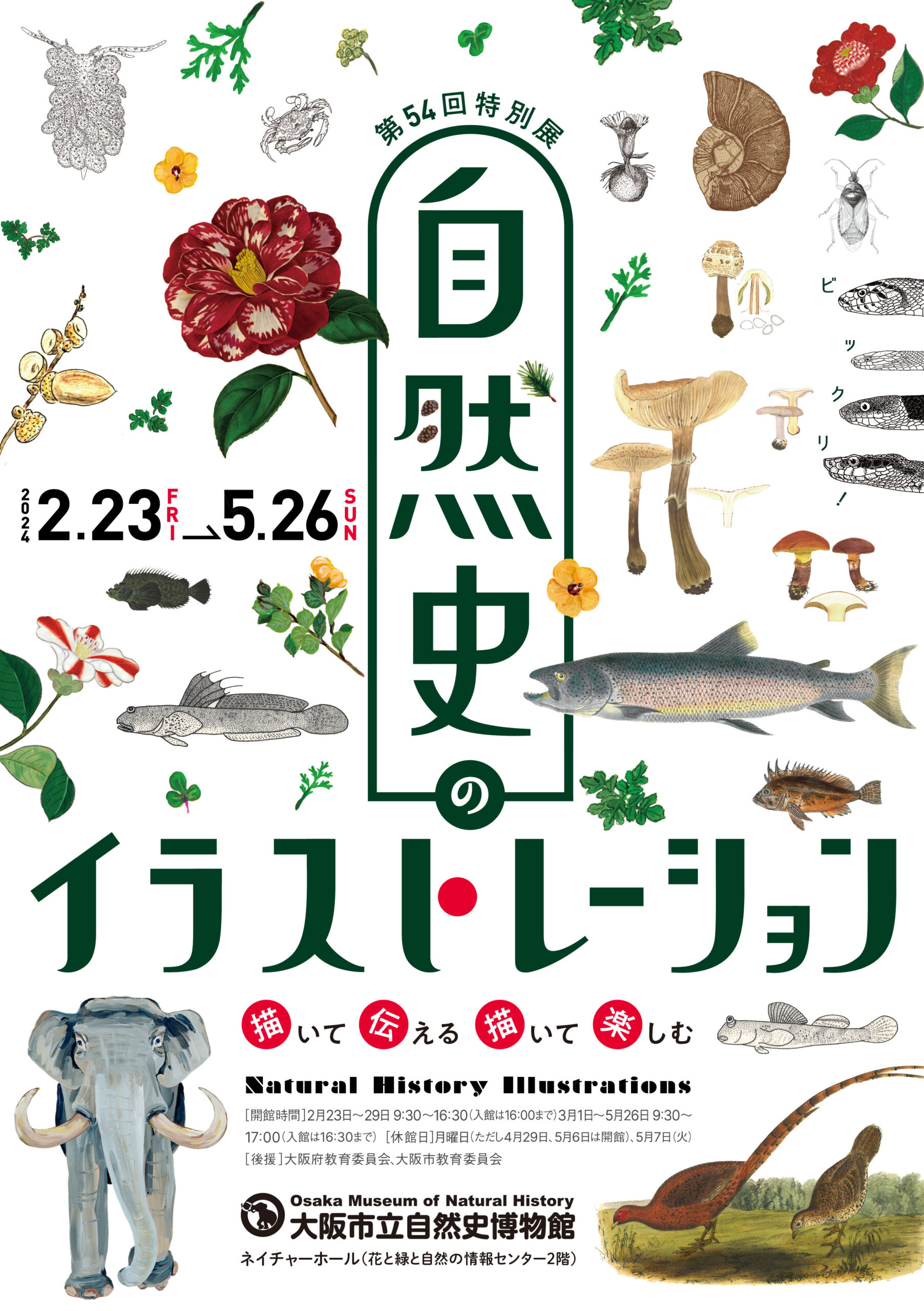 A4_chirashi_omote-scaled.jpg