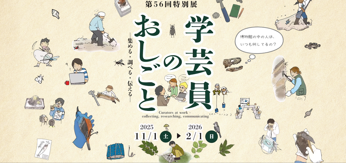 特別展 学芸員のおしごと