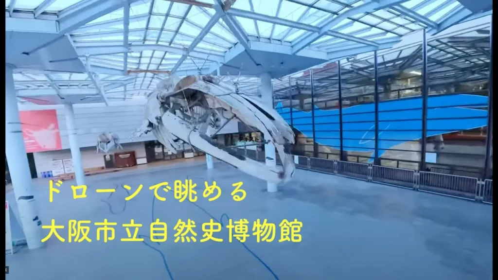 マイクロドローンで大阪市立自然史博物館をご紹介 | OMNH
