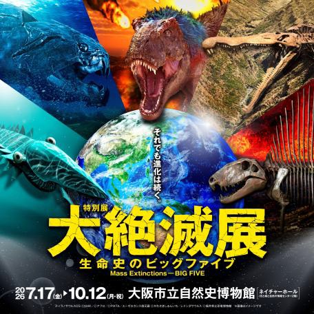 メインビジュアル456×456.jpg