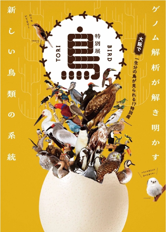 来場特典】平日限定！特別展「鳥」特製ポストカード（全5種 
