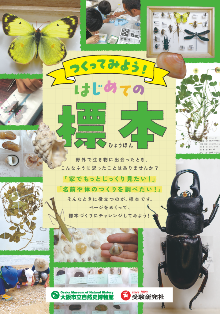 大阪市立自然史博物館×受験研究社がコラボ！夏休みの自由研究・調べ